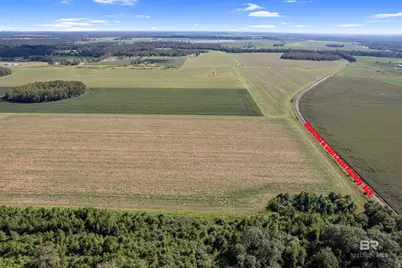 5700 Block Pine Forest Road, Walnut Hill, FL 32568 - Photo 15