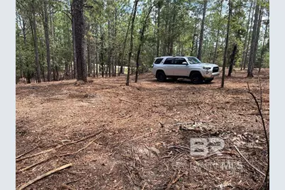 0 State Highway 225, Spanish Fort, AL 36527 - Photo 3
