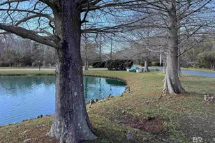 6194 St Hwy 59, Gulf Shores, AL 36542 - Photo 53