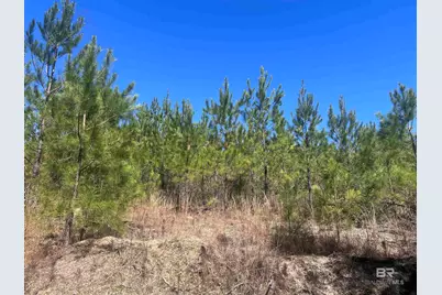 8 Robinsonville Road, Atmore, AL 36502 - Photo 21