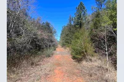 8 Robinsonville Road, Atmore, AL 36502 - Photo 25