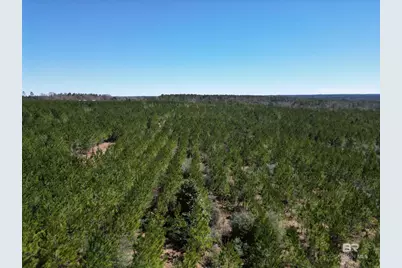 8 Robinsonville Road, Atmore, AL 36502 - Photo 15