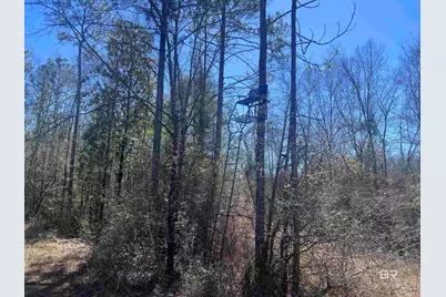 8 Robinsonville Road, Atmore, AL 36502 - Photo 19