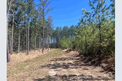 8 Robinsonville Road, Atmore, AL 36502 - Photo 23