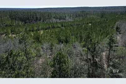 8 Robinsonville Road, Atmore, AL 36502 - Photo 11