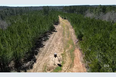 8 Robinsonville Road, Atmore, AL 36502 - Photo 13