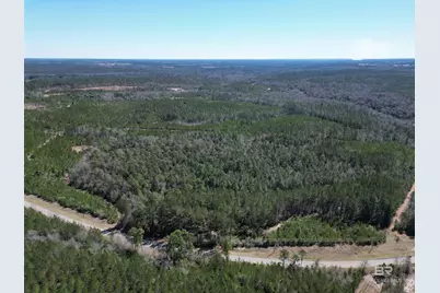 8 Robinsonville Road, Atmore, AL 36502 - Photo 7