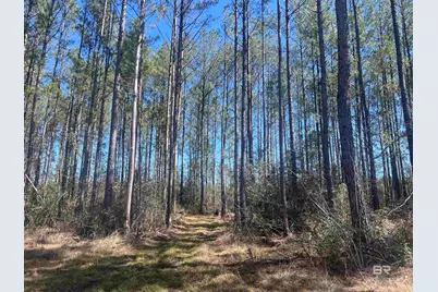 1 Robinsonville Road, Atmore, AL 36502 - Photo 1