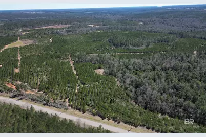 1 Robinsonville Road, Atmore, AL 36502 - Photo 9