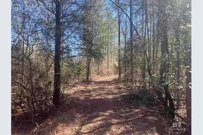 1 Robinsonville Road, Atmore, AL 36502 - Photo 21