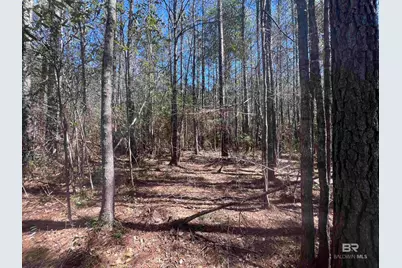 1 Robinsonville Road, Atmore, AL 36502 - Photo 27