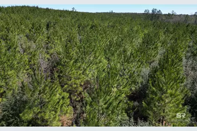 1 Robinsonville Road, Atmore, AL 36502 - Photo 11