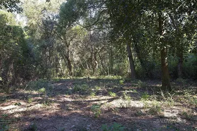 13555 Nolte Creek Drive, Foley, AL 36535 - Photo 11