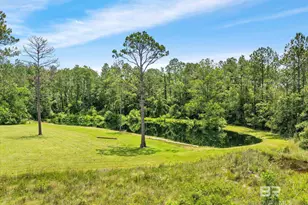 20800 Co Rd 87, Robertsdale, AL 36567 - Photo 39
