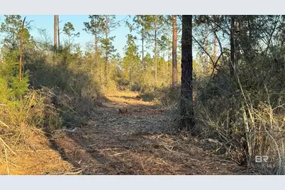 0 Archie Road, Elberta, AL 36530 - Photo 13