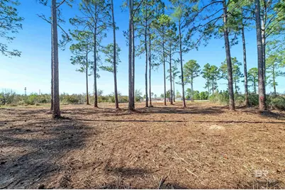 0 Canal Road, Orange Beach, AL 36561 - Photo 9