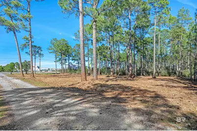 0 Canal Road, Orange Beach, AL 36561 - Photo 3