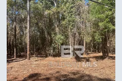 707 Daphmont Drive, Daphne, AL 36526 - Photo 13