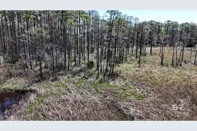 0 Dancing Water Lane, Gulf Shores, AL 36542 - Photo 11