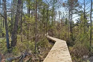 451 N Mobile St, Fairhope, AL 36532 - Photo 35