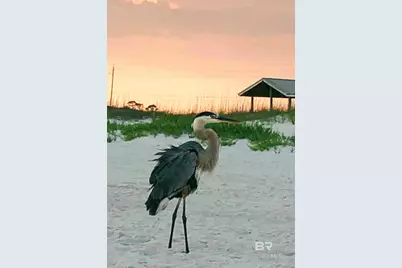 16690 Cc Road, Elberta, AL 36530 - Photo 19