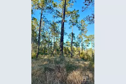 16690 Cc Road, Elberta, AL 36530 - Photo 5
