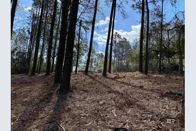0 S Blakeley Oaks Drive, Spanish Fort, AL 36527 - Photo 5