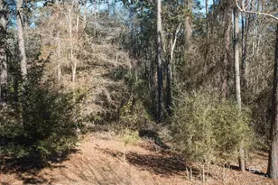 33220 Augusta Ct, Loxley, AL 36551 - Photo 25