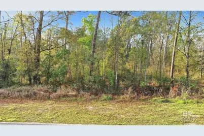 0 S County Road 12, Foley, AL 36535 - Photo 5