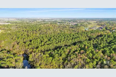 0 S County Road 12, Foley, AL 36535 - Photo 11