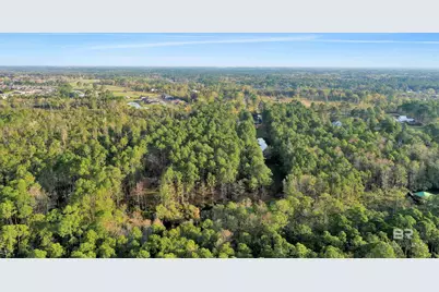 0 S County Road 12, Foley, AL 36535 - Photo 3