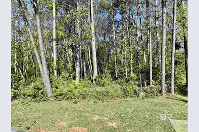 0 Saddlewood Lane, Fairhope, AL 36532 - Photo 21