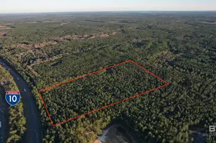 0 Timber Company Rd, Robertsdale, AL 36567 - Photo 1