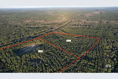 0 Timber Company Road, Robertsdale, AL 36567 - Photo 5
