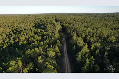 0 Timber Company Road, Robertsdale, AL 36567 - Photo 3