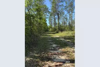 0 Timber Company Road, Robertsdale, AL 36567 - Photo 9