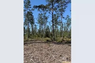 0 Timber Company Road, Robertsdale, AL 36567 - Photo 7