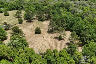 Pearson Lane, Robertsdale, AL 36567 - Photo 5