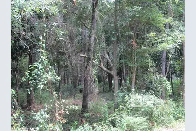 6803 Traylor Lane, Gulf Shores, AL 36542 - Photo 11