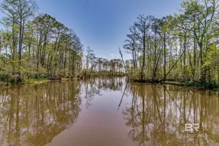 11080 Co Rd 99, Lillian, AL 36549 - Photo 71