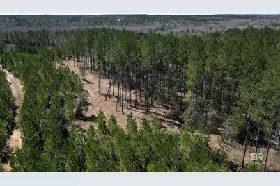 2 Robinsonville Road, Atmore, AL 36502 - Photo 3