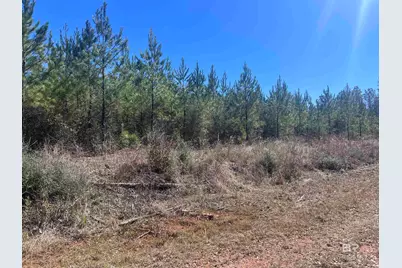 2 Robinsonville Road, Atmore, AL 36502 - Photo 19