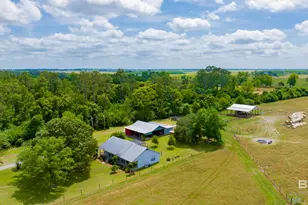 24795A County Road 32, Elberta, AL 36530 - Photo 93