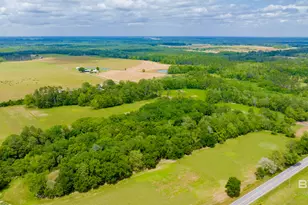 24795A County Road 32, Elberta, AL 36530 - Photo 71