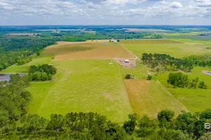 24795A County Road 32, Elberta, AL 36530 - Photo 83