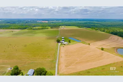 24795A County Road 32, Elberta, AL 36530 - Photo 67