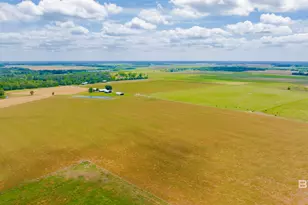 24795A County Road 32, Elberta, AL 36530 - Photo 87