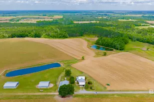 24795A County Road 32, Elberta, AL 36530 - Photo 65