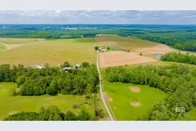 24795A County Road 32, Elberta, AL 36530 - Photo 69