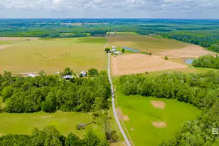 24795A County Road 32, Elberta, AL 36530 - Photo 69